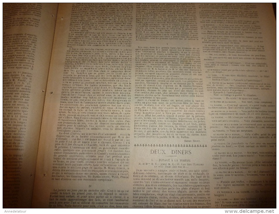 1896 SOLEIL Du DIMANCHE: Invasion Sauterelle En Algérie;La Tribu Des VI-RÂ-RI Au Mexique;Greffe Entre Serpents..etc - Sterrenkunde