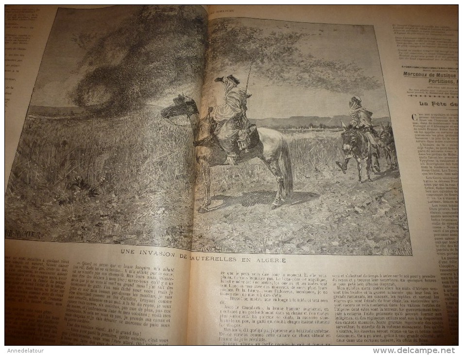 1896 SOLEIL Du DIMANCHE: Invasion Sauterelle En Algérie;La Tribu Des VI-RÂ-RI Au Mexique;Greffe Entre Serpents..etc - Astronomía