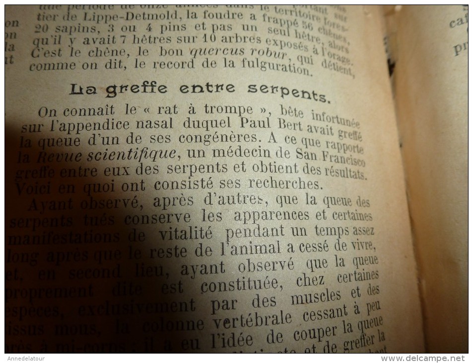 1896 SOLEIL du DIMANCHE: Invasion sauterelle en Algérie;La tribu des VI-RÂ-RI au Mexique;Greffe entre serpents..etc