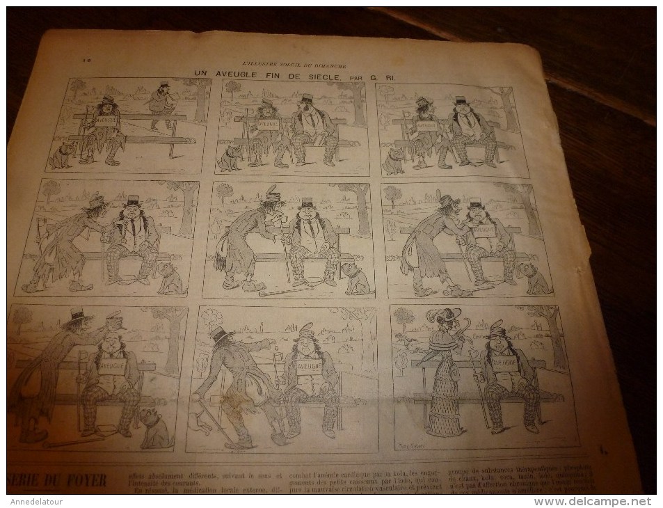 1896 SOLEIL du DIMANCHE: Invasion sauterelle en Algérie;La tribu des VI-RÂ-RI au Mexique;Greffe entre serpents..etc