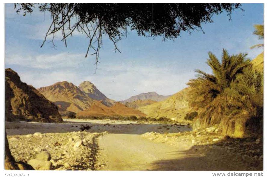 Asie - Oman - Wadi Hajar - Oman