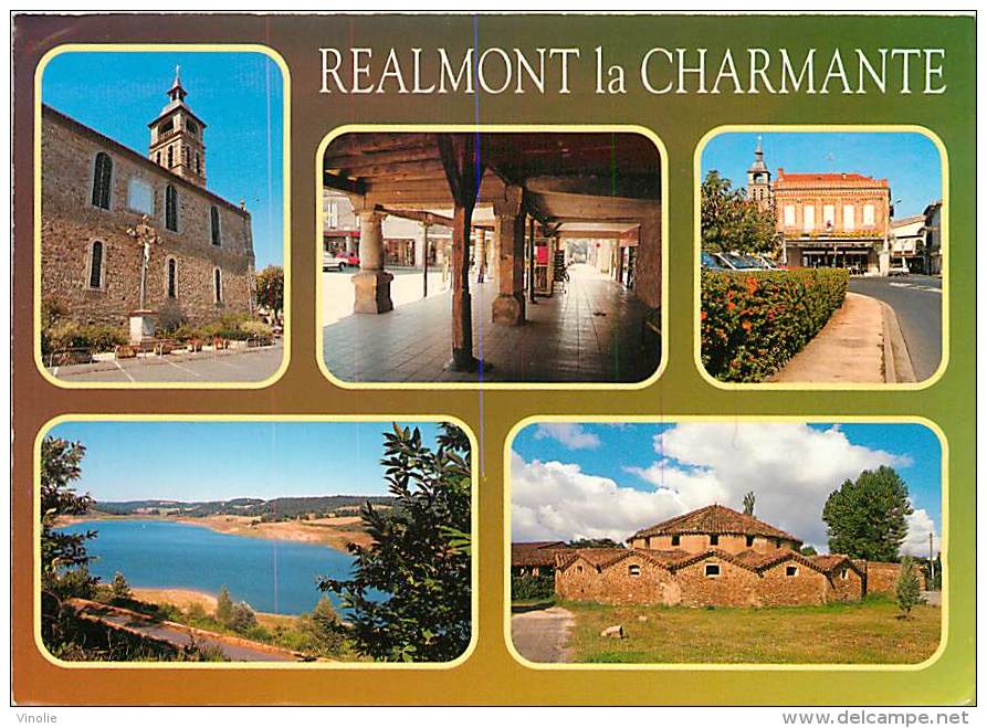 Réf : B-15-1016 : REALMONT - Realmont