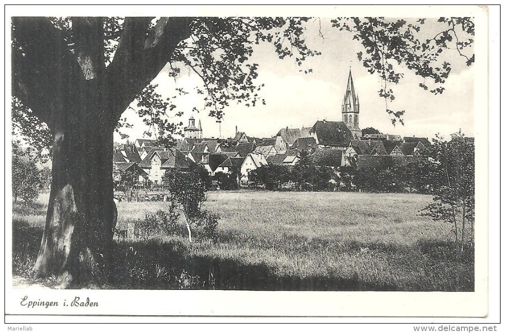 EPPINGEN, PANORAMA.VIAGGIATA NO .1950-C709 - Eppingen