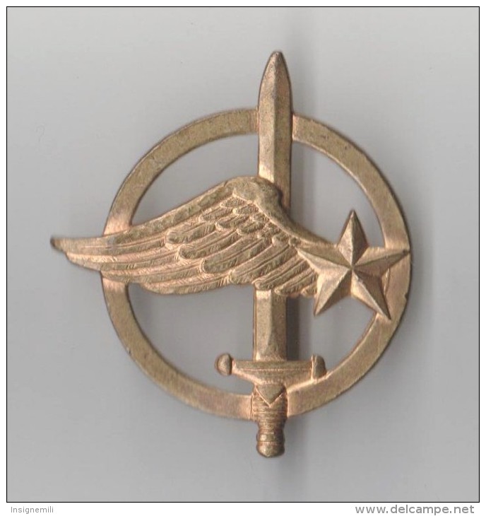 INSIGNE DE BERET COMMANDOS DE L' AIR - DRAGO PARIS A 688 - Armée De L'air