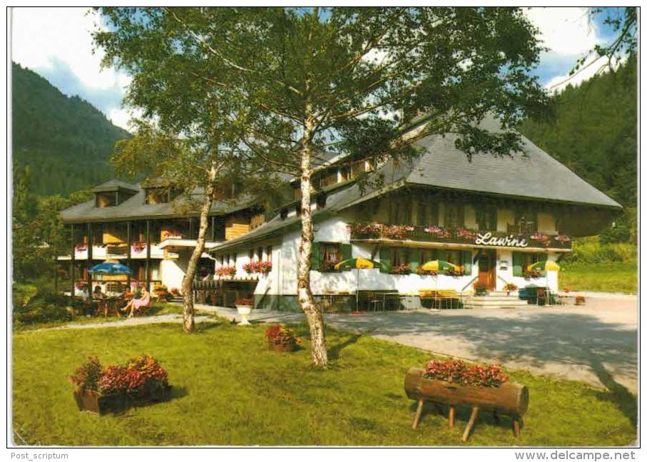 Allemagne - Todtnau Fahl - Gasthof Pension Lawine - Todtnau