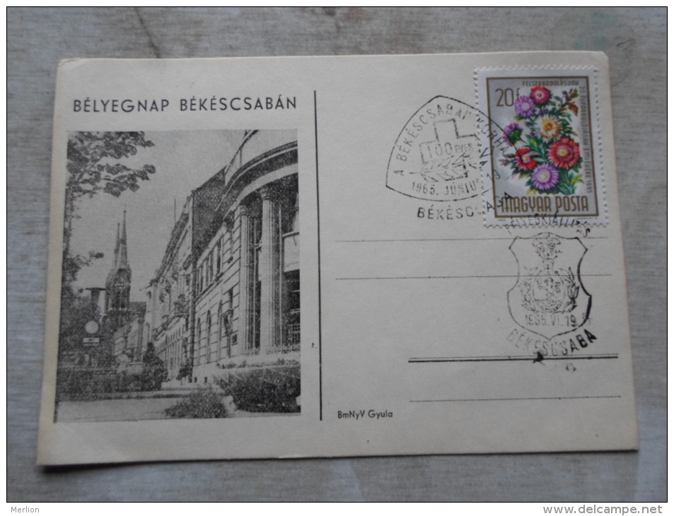 Hungary- Bélyegnap Békéscsabán  1965 - Békéscsaba Kórház    D128838 - Postmark Collection