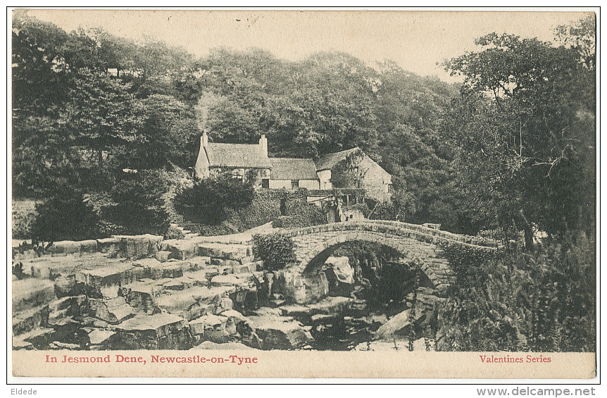 Newcastle In  Jesmond Dene   P. Used 1905 - Newcastle-upon-Tyne