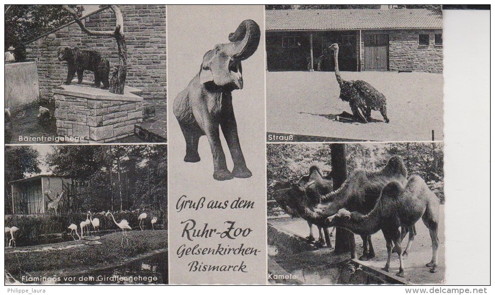 Ruhr-Zoo Gelsenkirchen Bismarck - Otros & Sin Clasificación