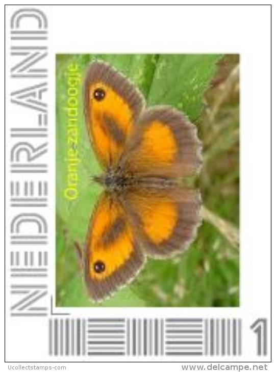 Nederland  2014  Vlinder 5  Oranje Zandoogje        Postfris/mnh/sans Charniere - Personnalized Stamps