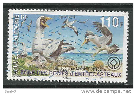 Nieuw-Caledonie, Yv 1172 Jaar 2013, Gestempeld, Zie Scan - Usados