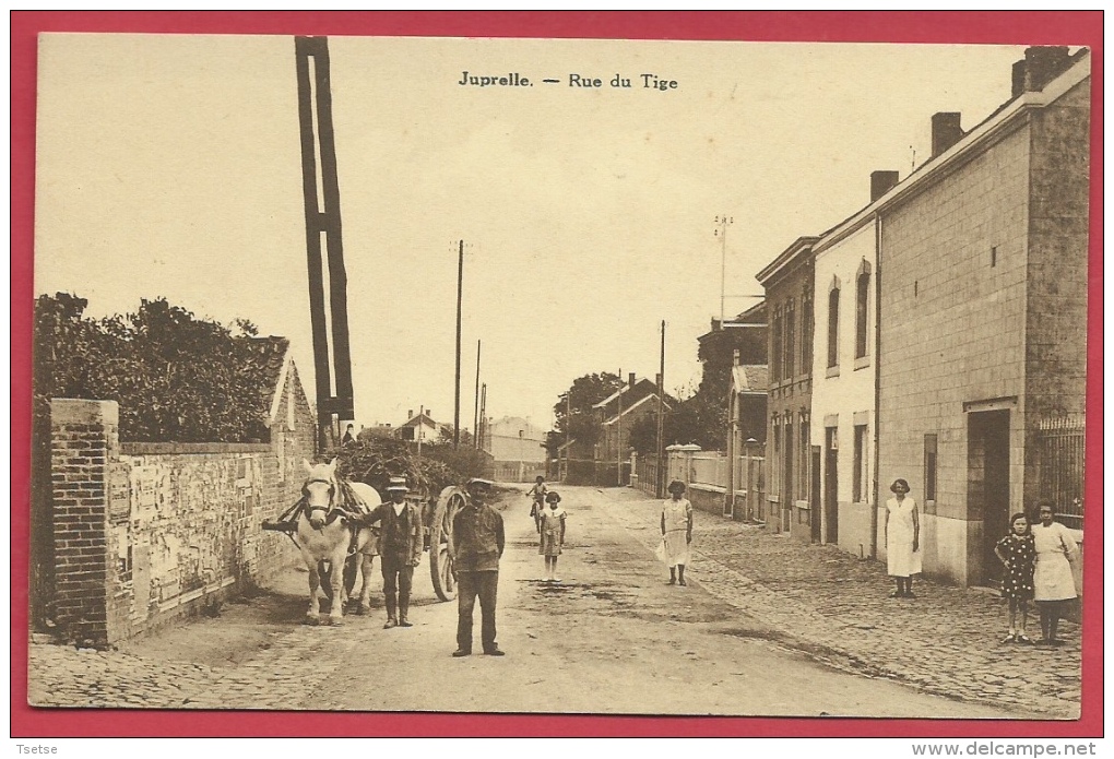 Juprelle - Rue Du Tige ( 2 ) - Attelage ( Voir Verso ) - Juprelle