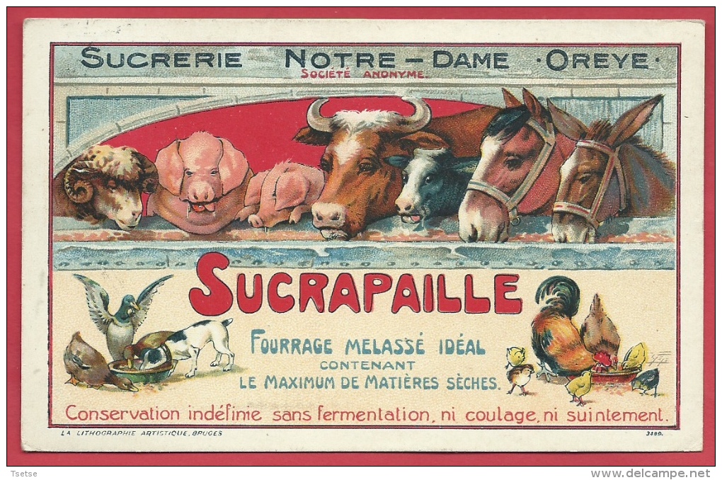 Oreye - Sucrerie Notre-Dame - Sucrapaille - Oblitération Allemande - 1916 ( Voir Verso, Spécial ) - Oreye