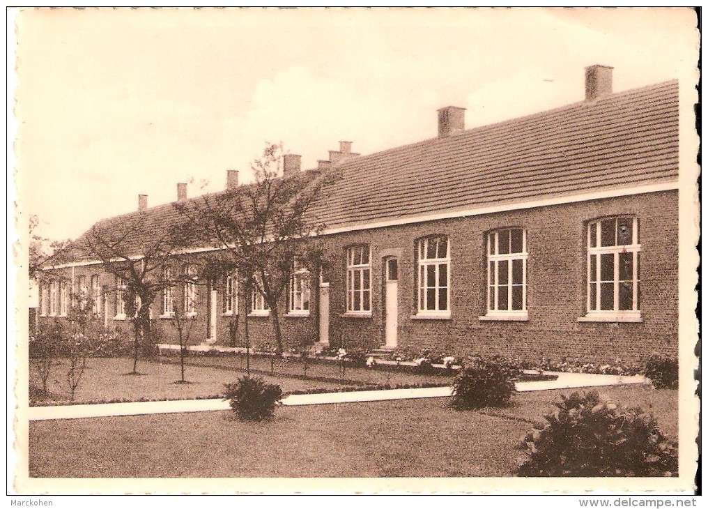 RIJKEVORSEL (2310) : School St-Jozef , Zusters Der Christelijke Scholen. CPSM Dentelée. - Rijkevorsel