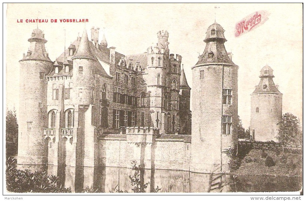 Le Château De VOSSELAER (2350), Avec Réclame Maggi. CPA. - Vosselaar