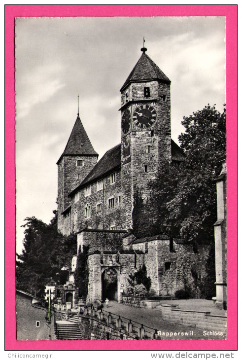 Rapperswil - Schloss - PHOTOGLOB - PZW - Carte Glaçée - Rapperswil-Jona