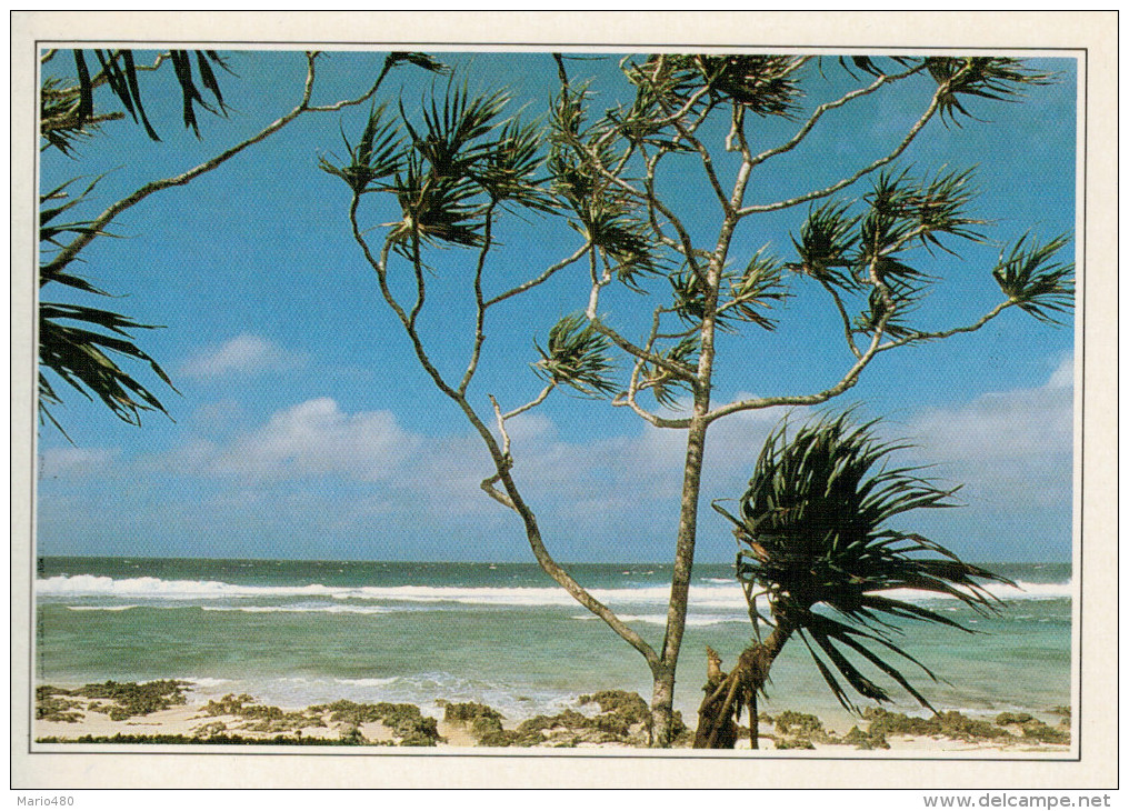 VANUATU:  UNA SPIAGGIA DELL'ARCIPELAGO      (NUOVA CON DESCRIZIONE DEL SITO SUL RETRO) - Vanuatu