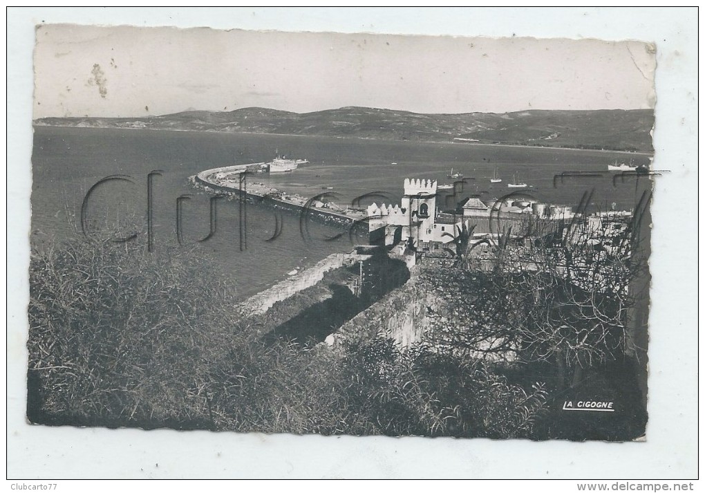 Tanger (Maroc) : Vue Sur Le Port Des Remparts En 1950 PF.. - Tanger