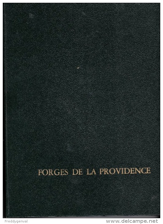 LES FORGES DE LA PROVIDENCE - Economie