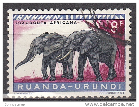 Ruanda-Urundi, 1959/61 - 8fr Elephants - Nr.147 Usato° - Elefanti