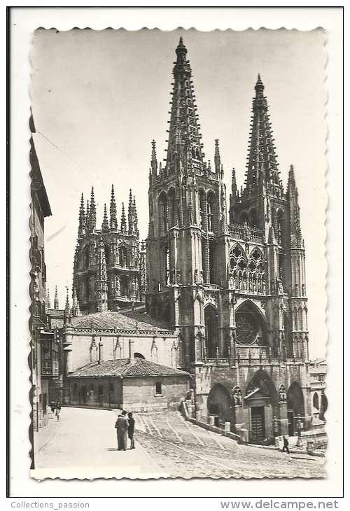 Cp, Espagne, Burgos, Cathédrale, Façade Principale - Burgos