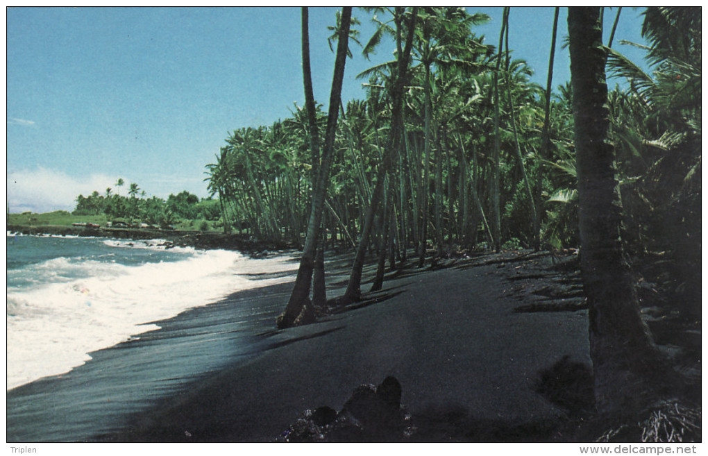 Kalapana - Black Sands Beach - Big Island Of Hawaii