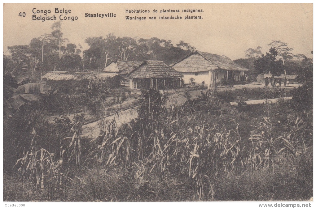 Congo Belge   Belgisch Congo   Stanleyville  Woningen Van Inlandse Planters       Nr 1513 - Congo Belge