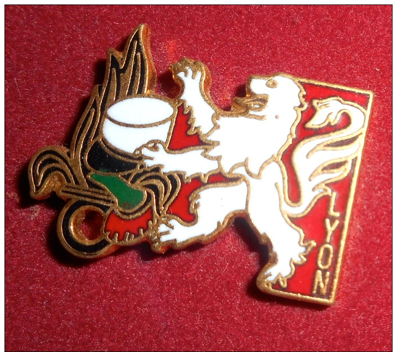 Pin´s LEGION ETRANGERE LION - Medical