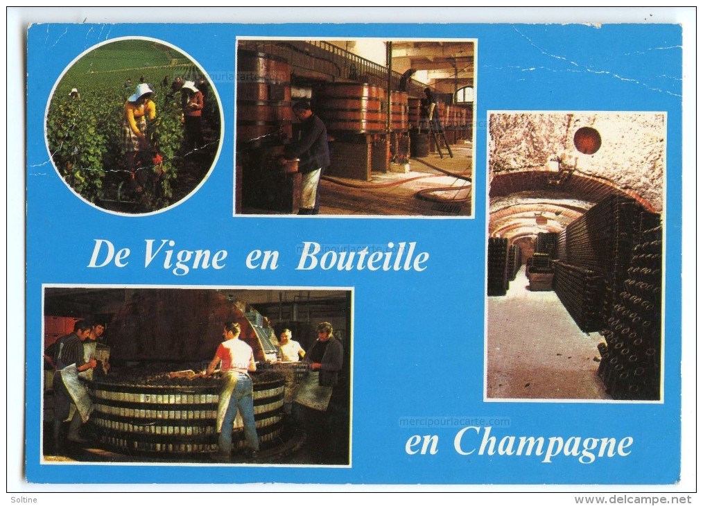 Cp De Vigne En Bouteille En Champagne - écrite 1986 (pour Concours) Flamme Musée Auto Reims - Autres & Non Classés