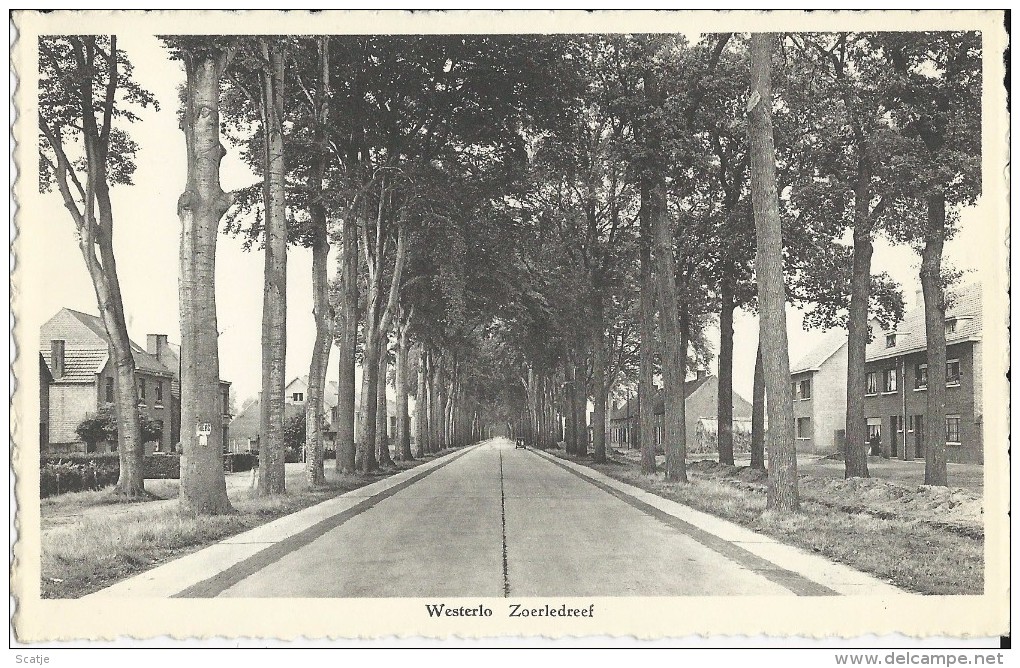 Westerloo    Zoerledreef  (uit Plakboek) - Westerlo