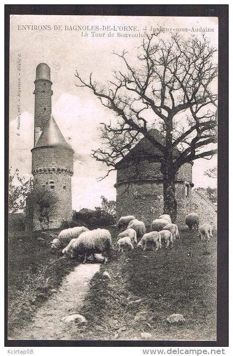 JUVIGNY - SOUS - AUDAINE . La Tour De Bonvouloir . - Juvigny Sous Andaine