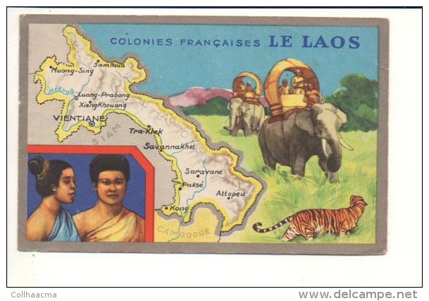 ( Anciennes ) Colonies Françaises  - Le Laos / Publicité Produits Chimiques Lion Noir - Other & Unclassified