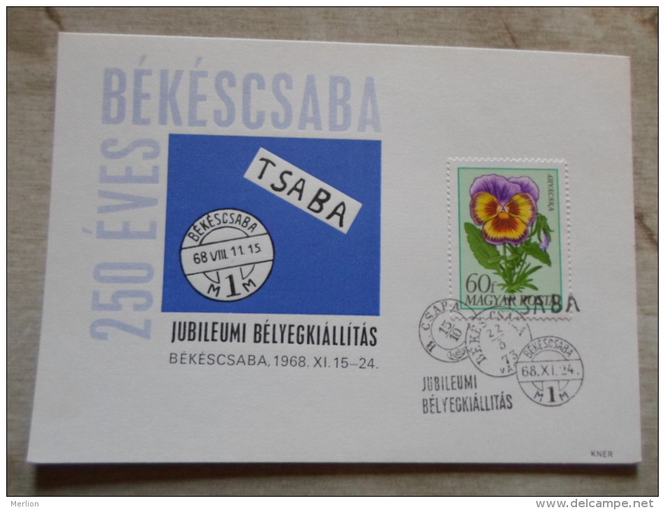 Hungary  Békéscsaba 250 éves - 1968 -      D129141 - Commemorative Sheets