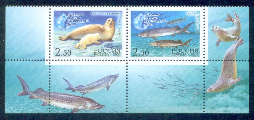 RUSSIA 2003 Stamp MNH ** VF JOINT IRAN CASPIAN PRESERVE FAUNA MARINE MAMMAL MAMMALS SEAL VEAU MARIN FISH POISSON FISCH - Neufs