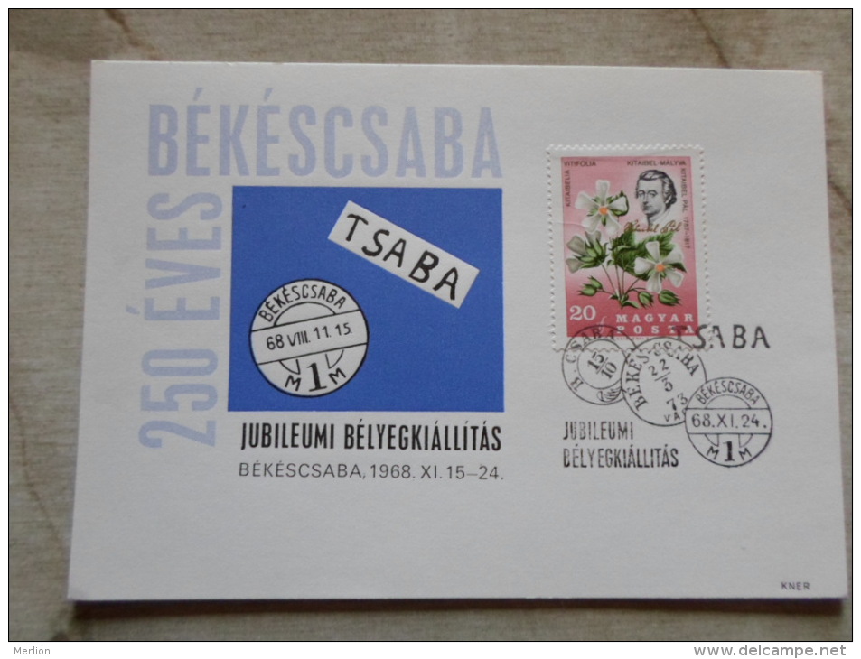 Hungary  Békéscsaba 250 éves - 1968 -    D129145 - Commemorative Sheets