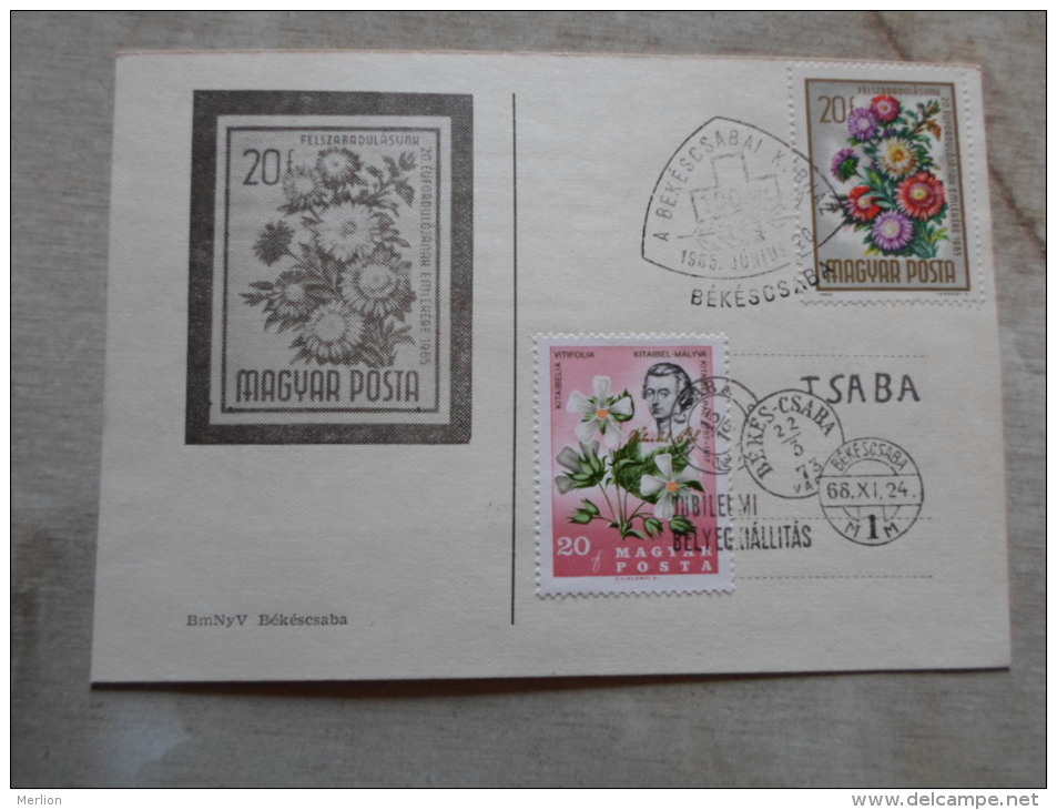 Hungary 250 éves  Békéscsaba  1968 --100 éves A Békéscsabai Kórház  1965-horse      D129173 - Local Post Stamps