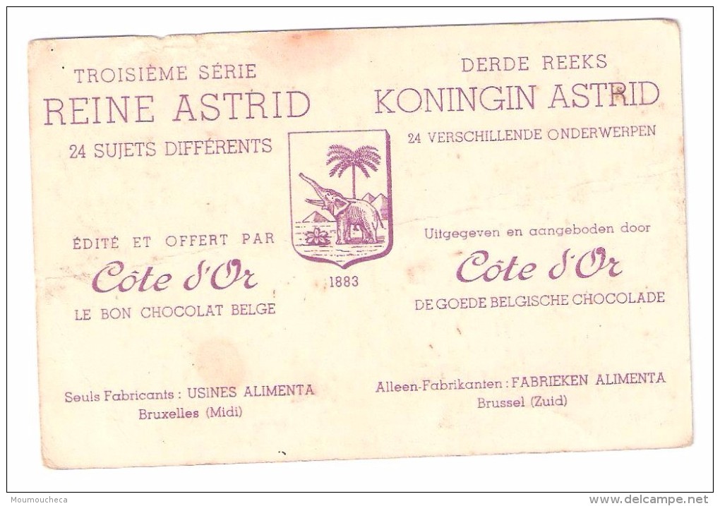 Chromo : Troisième Série Reine Astrid (24 Sujets Différents)  Côte D'or - N°24 Congrès Protection De L'enfance(chocolat) - Collections & Lots