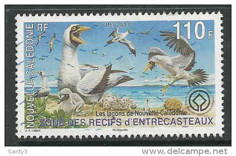 Nieuw-Caledonie, Yv 1172 Jaar 2013, Gestempeld, Zie Scan - Usados