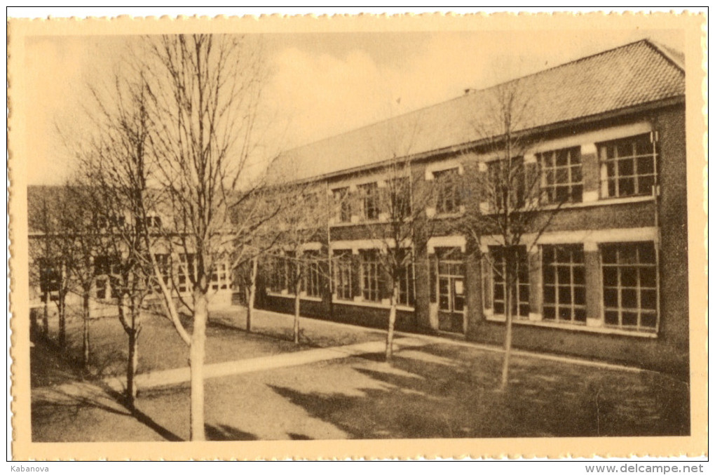 Haacht. Haecht. Schooltje Haacht Station - Haacht