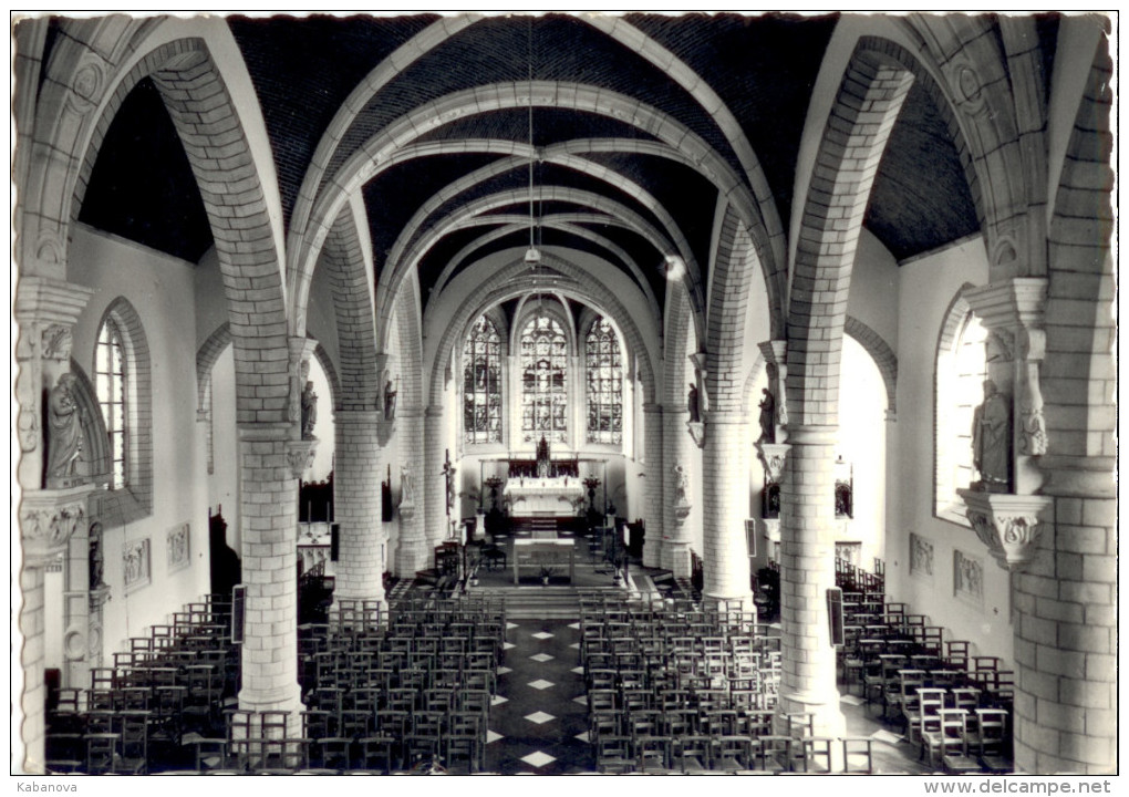 Haacht. Haecht. St Remigiuskerk (binnenzicht) - Haacht