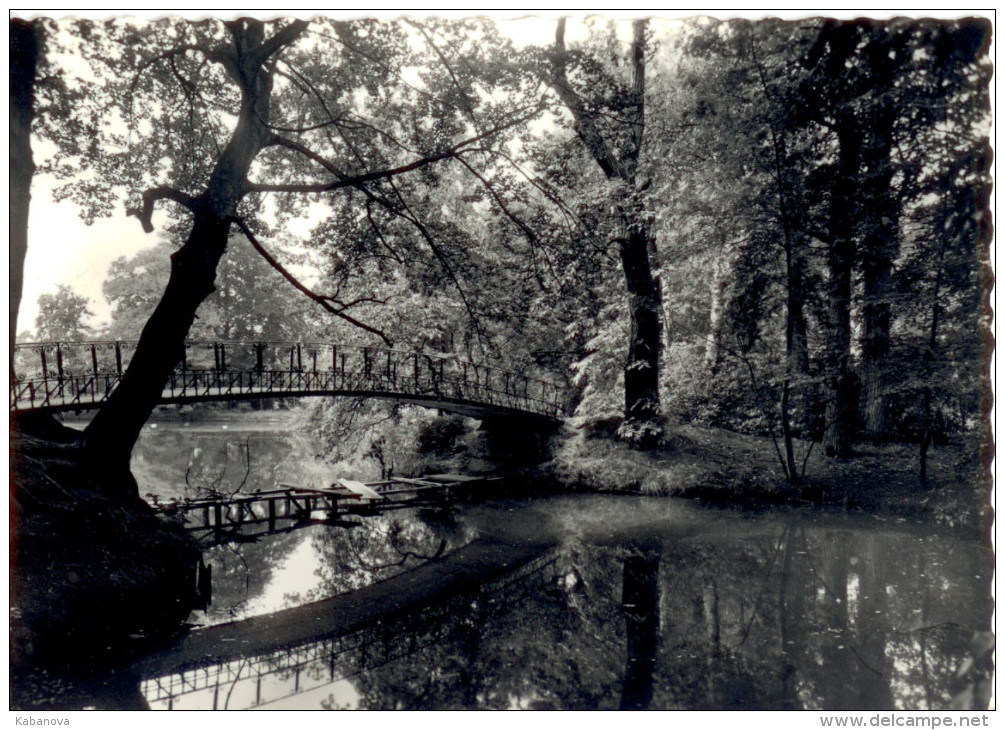 Haacht. Haecht. Vijvers En Slotgracht Van Het Breugels Gasthof - Haacht