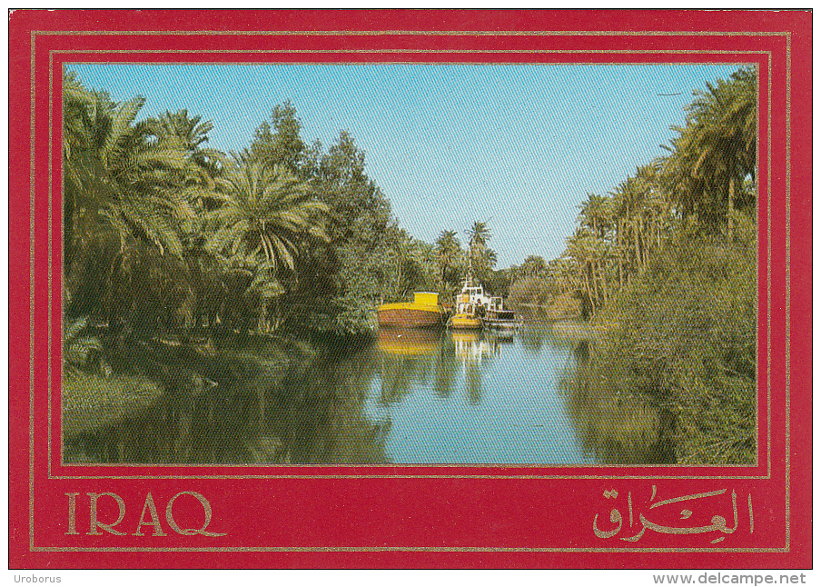 IRAQ - Abu Khaseeb - Basrah - Iraq