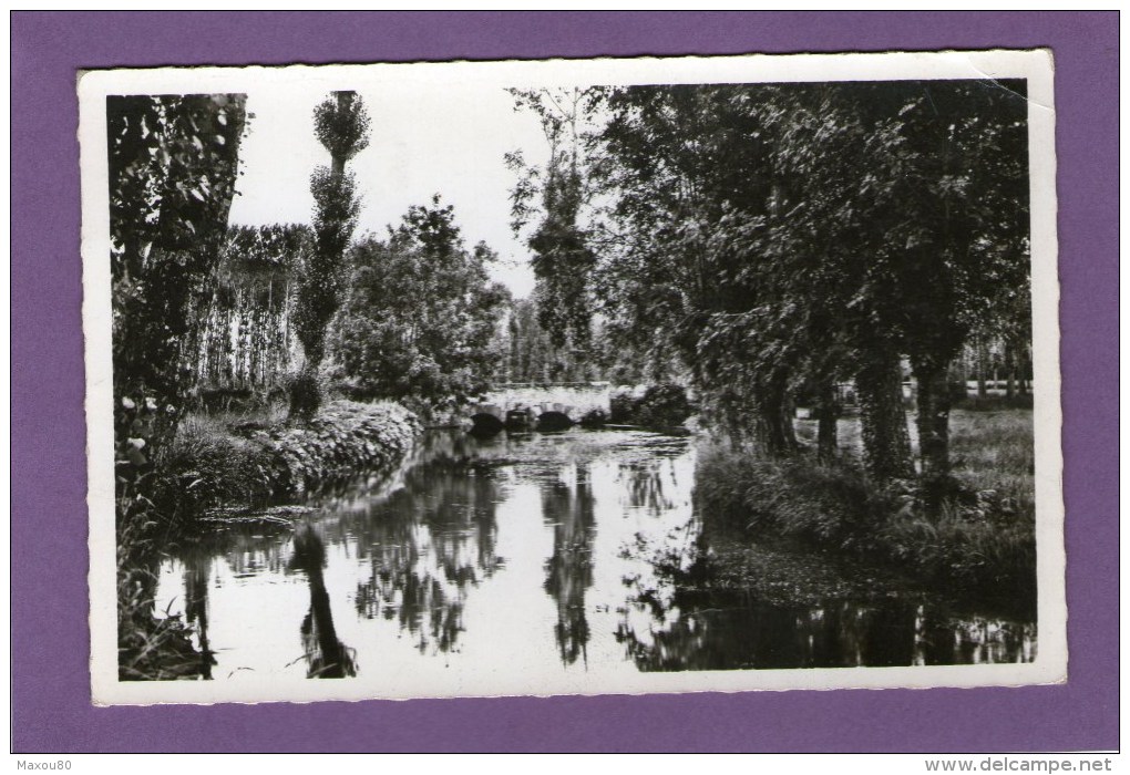 MAROLLES-les-BRAULTS - L'Orne Saosnoise Au Pont D'Effe - 1957 - - Marolles-les-Braults