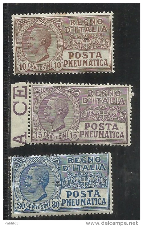 ITALIA REGNO ITALY KINGDOM 1924 - 1925  POSTA PNEUMATICA EFFIGIE RE VITTORIO EMANUELE SERIE COMPLETA COMPLETE SET MNH - Poste Pneumatique