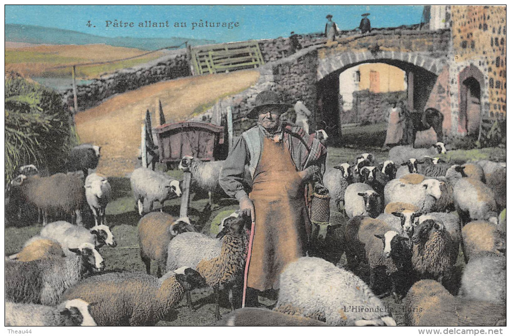 ¤¤  -  4   -   Pâtre Allant Au Paturage   -  Moutons , Berger   -  ¤¤ - Campesinos