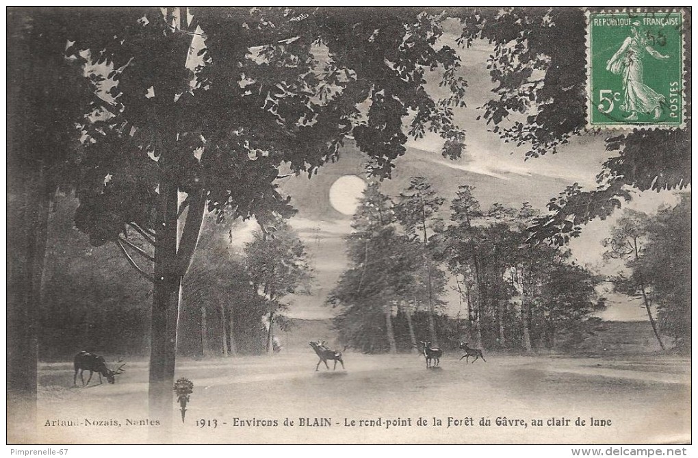 CPA Blain - Le Rond-point De La Forêt Du Gâvre Au Clair De Lune - Blain