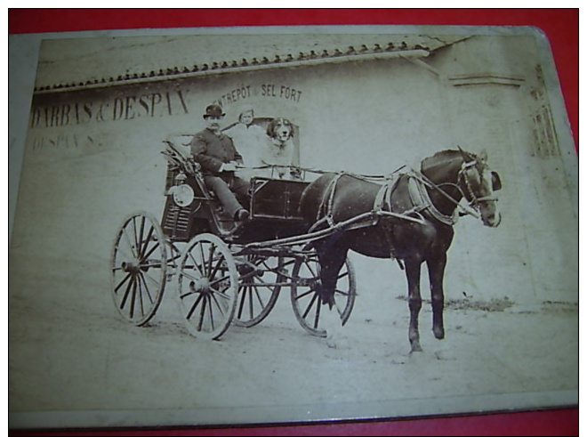 Photographie Attelage  Fauré  Saint Girons - Old (before 1900)