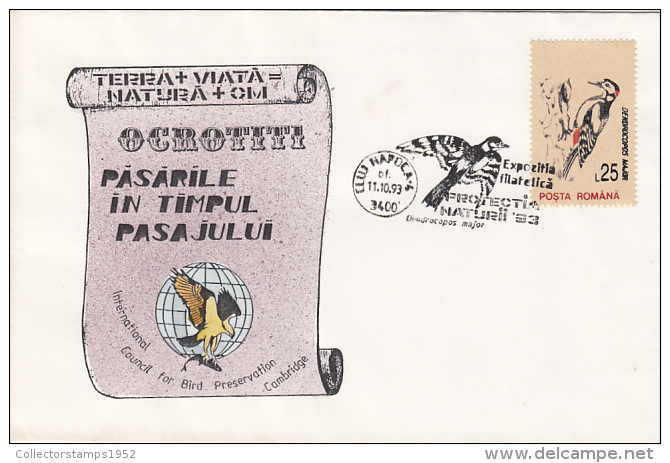 15745- BIRDS, GREAT SPOTTED WOODPECKER, SPECIAL COVER, 1993, ROMANIA - Piciformes (pájaros Carpinteros)