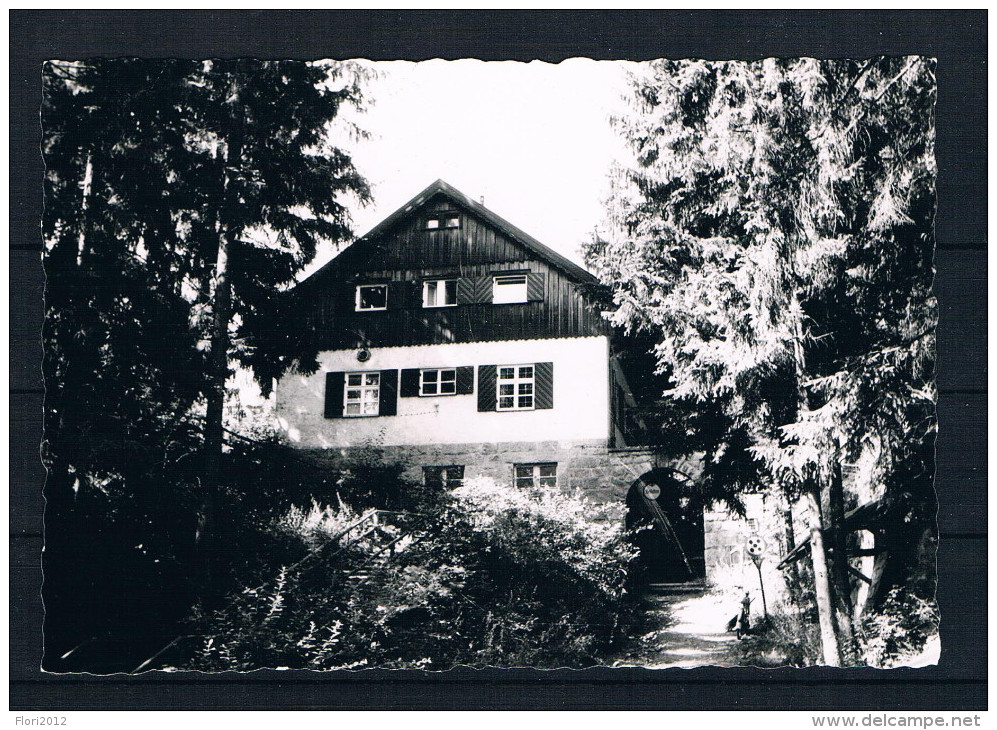 (1238) AK Waldgaststätte - Pension "Blockhütte" - Weiden I. D. Oberpfalz