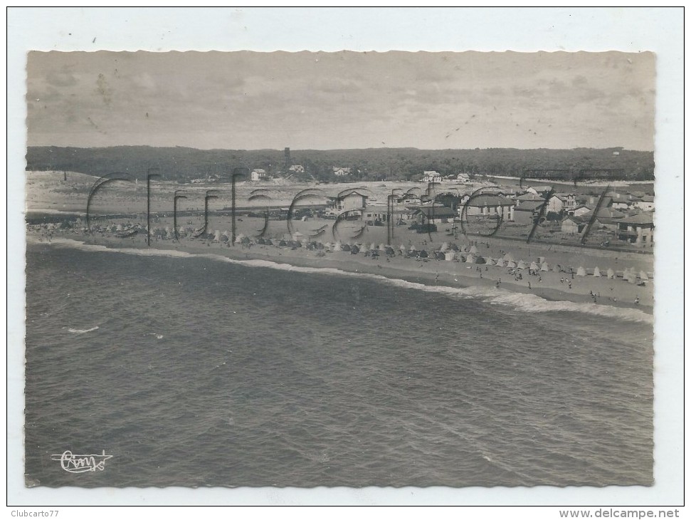 Capbreton (40)  :Vue Aérienne Générale Au Niveau Des Villas De La Plage Sur L'Océan  En  1950 (animé) GF. - Castets