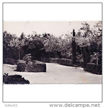 CDRLTP5364-LFTD10030.Tarjeta Postal DE CIUDAD REAL.Plantas ,arboles,jardines.PARQUE DE  CAMPO DE CRIPTANA - Ciudad Real